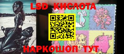apvp Канаш