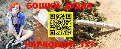 apvp Канаш