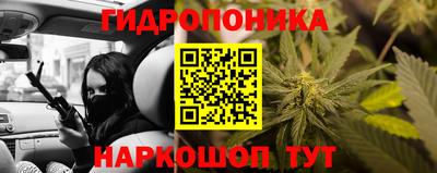 apvp Канаш