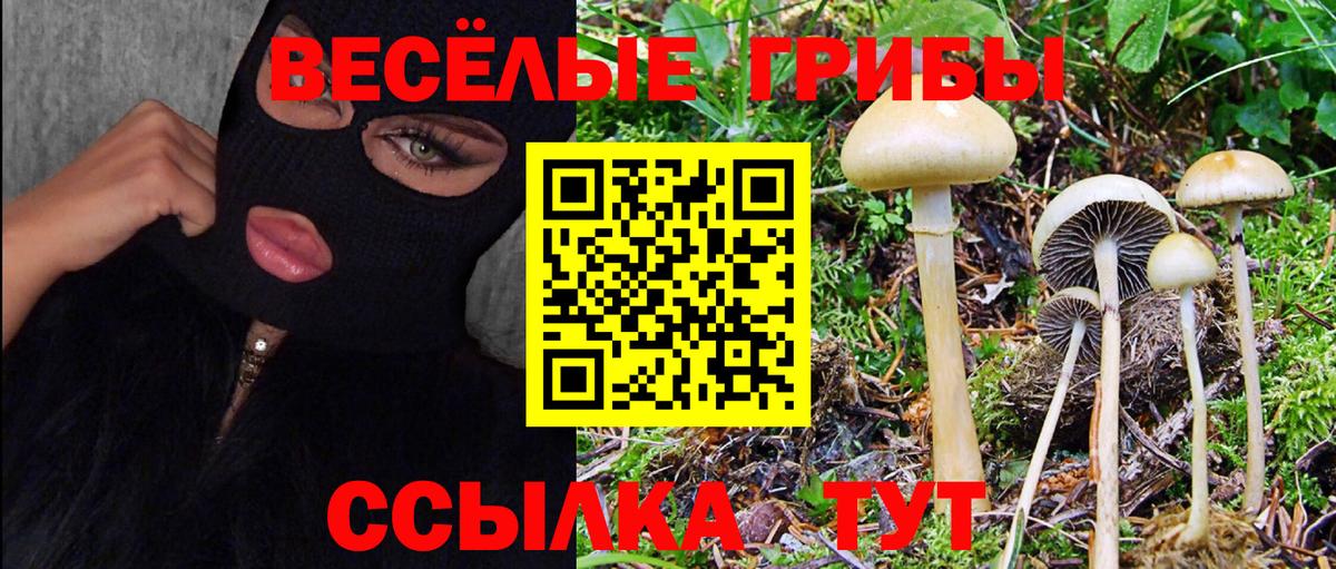 Псилоцибиновые грибы Magic Shrooms Кандалакша
