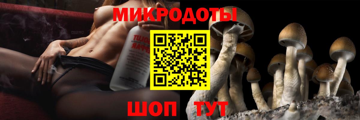Псилоцибиновые грибы GOLDEN TEACHER  Вход с VPN  Кандалакша 